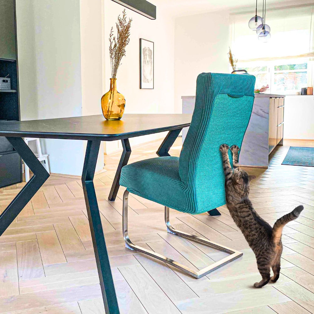 Katzenmöbel neu gedacht: Wie moderne Kratzmöbel dein Zuhause und deine Möbel retten