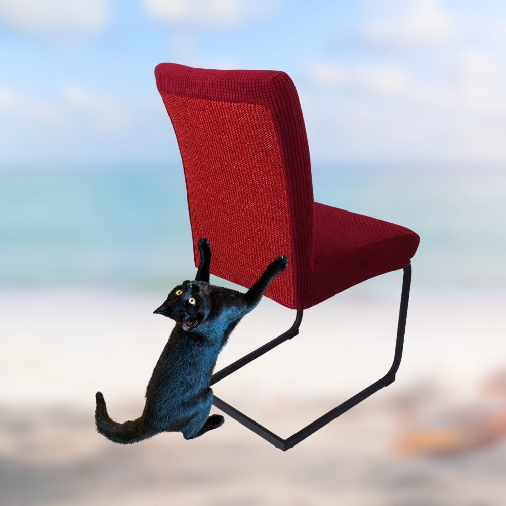 Katzenstuhl neu gedacht: Die Felivio Stuhlhusse mit Sisal-Matte