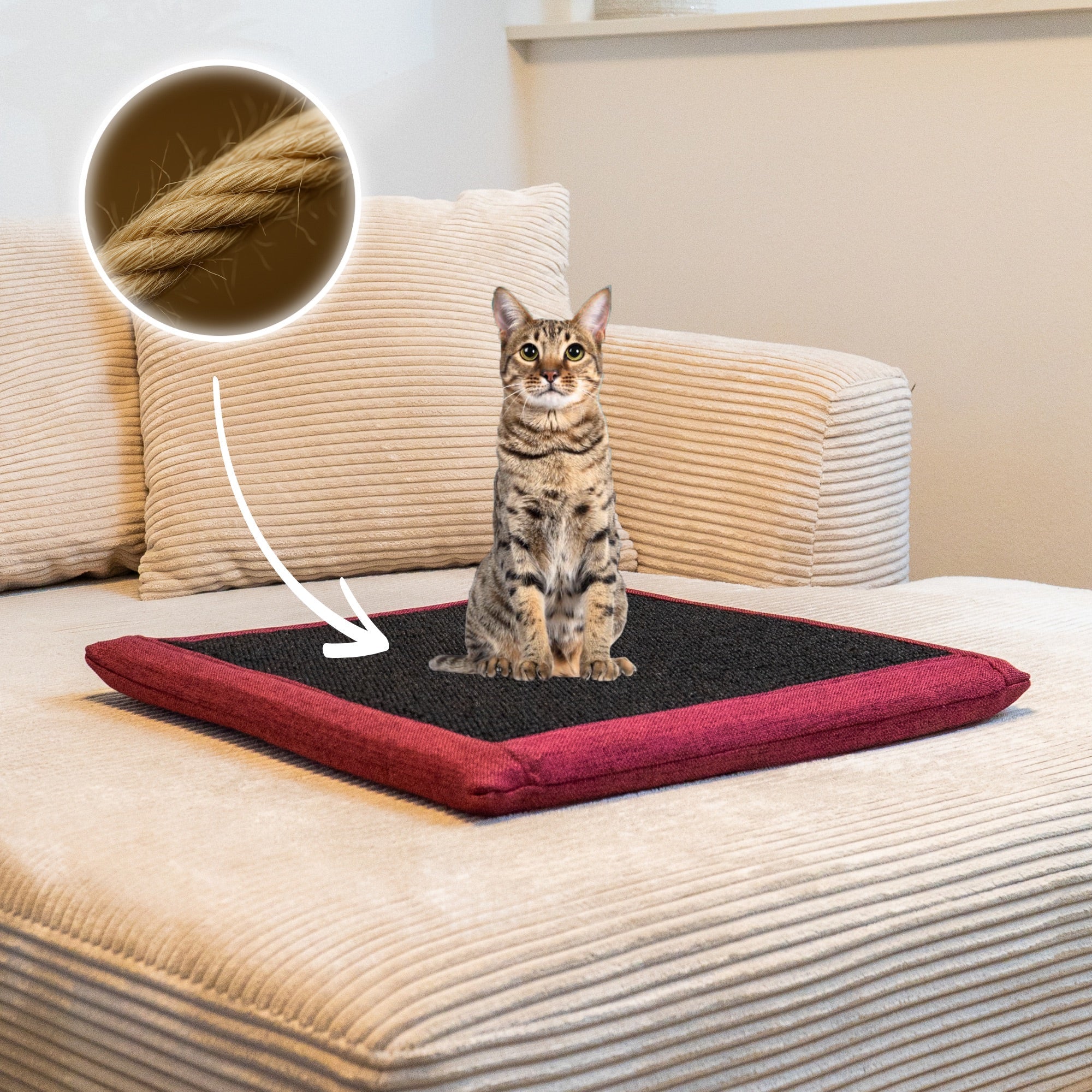 Kratzschutz Sofa: So bleibt deine Couch katzensicher und stilvoll