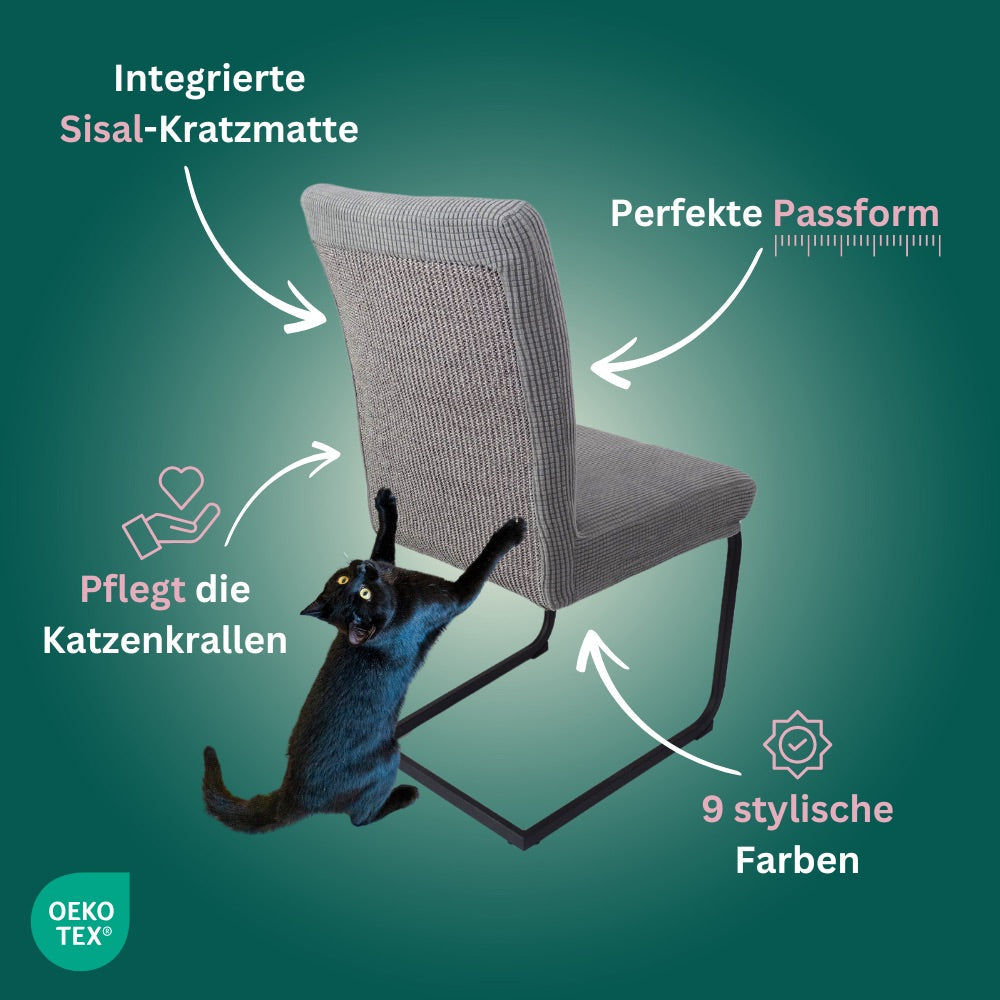 Kratzfeste Stuhlhussen für Katzenhaushalte: So bleiben deine Möbel schön und deine Katze zufrieden