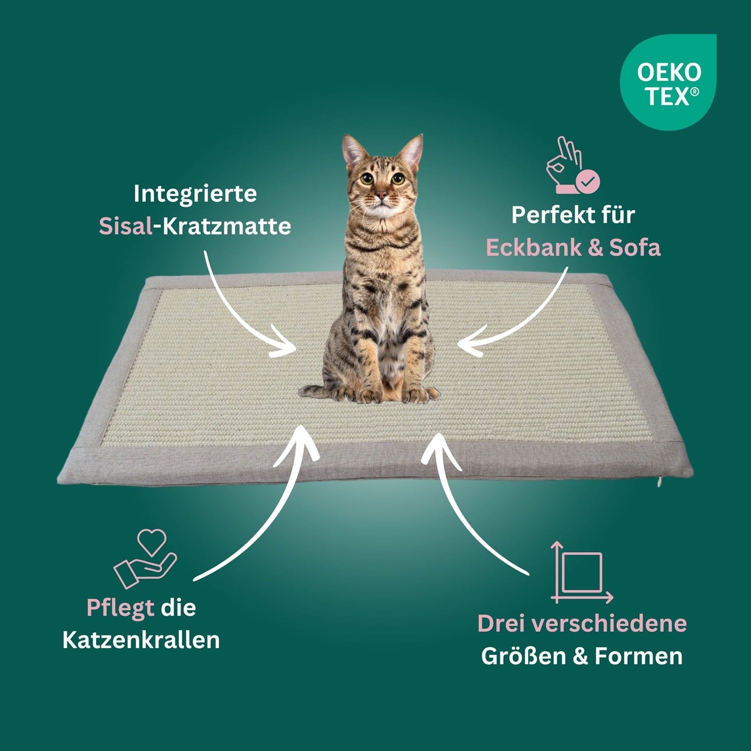 Premium Kratzkissen mit Sisal