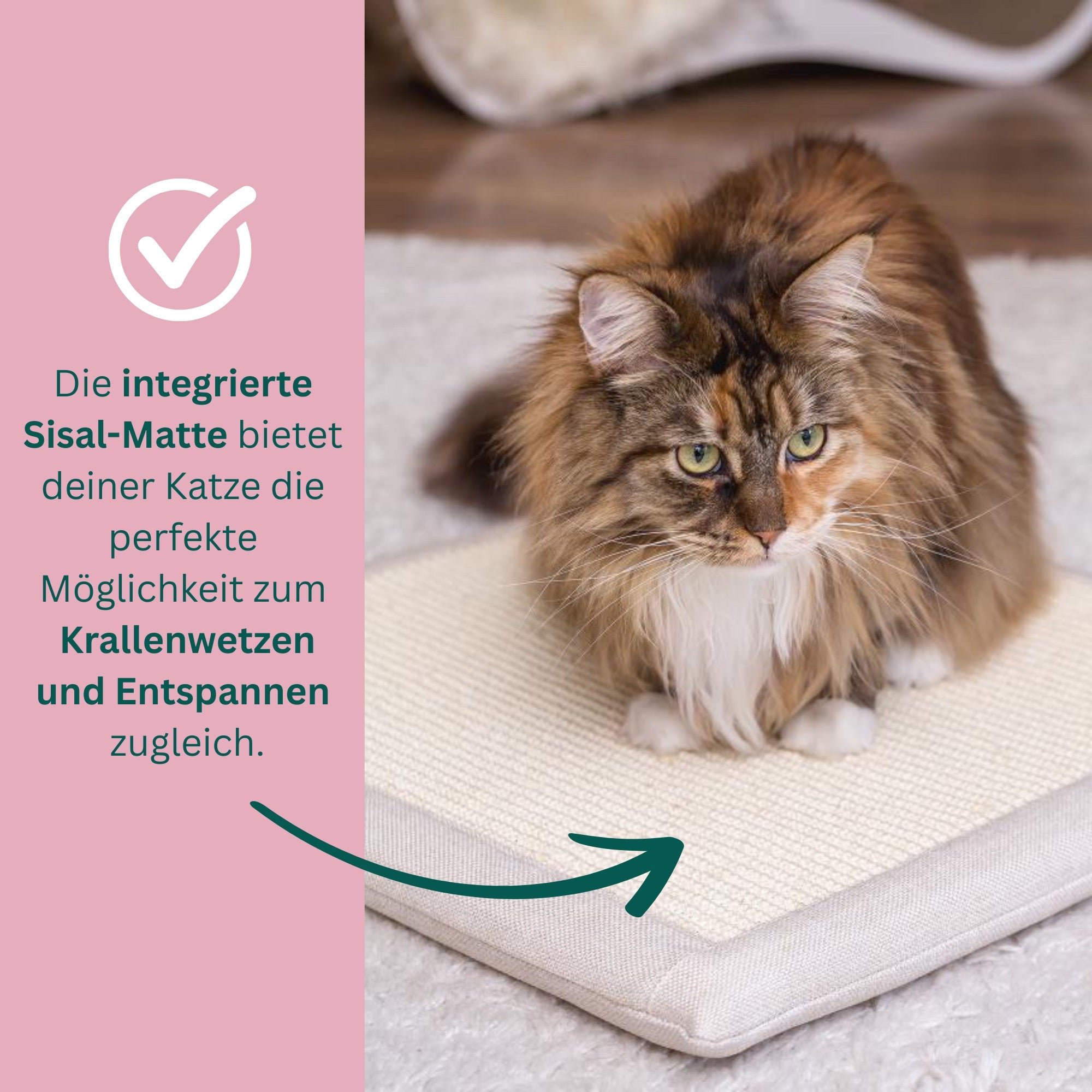 Premium Kratzkissen mit Sisal