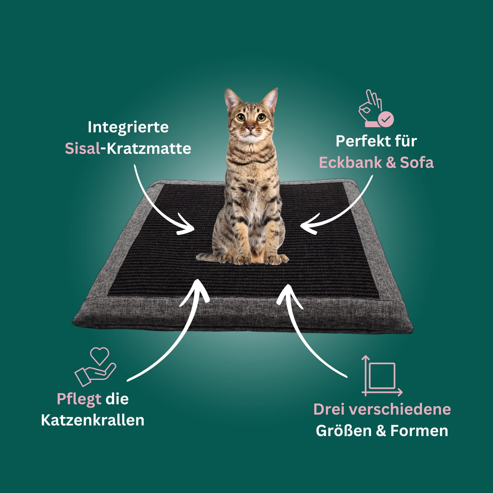 Premium Kratzkissen mit Sisal