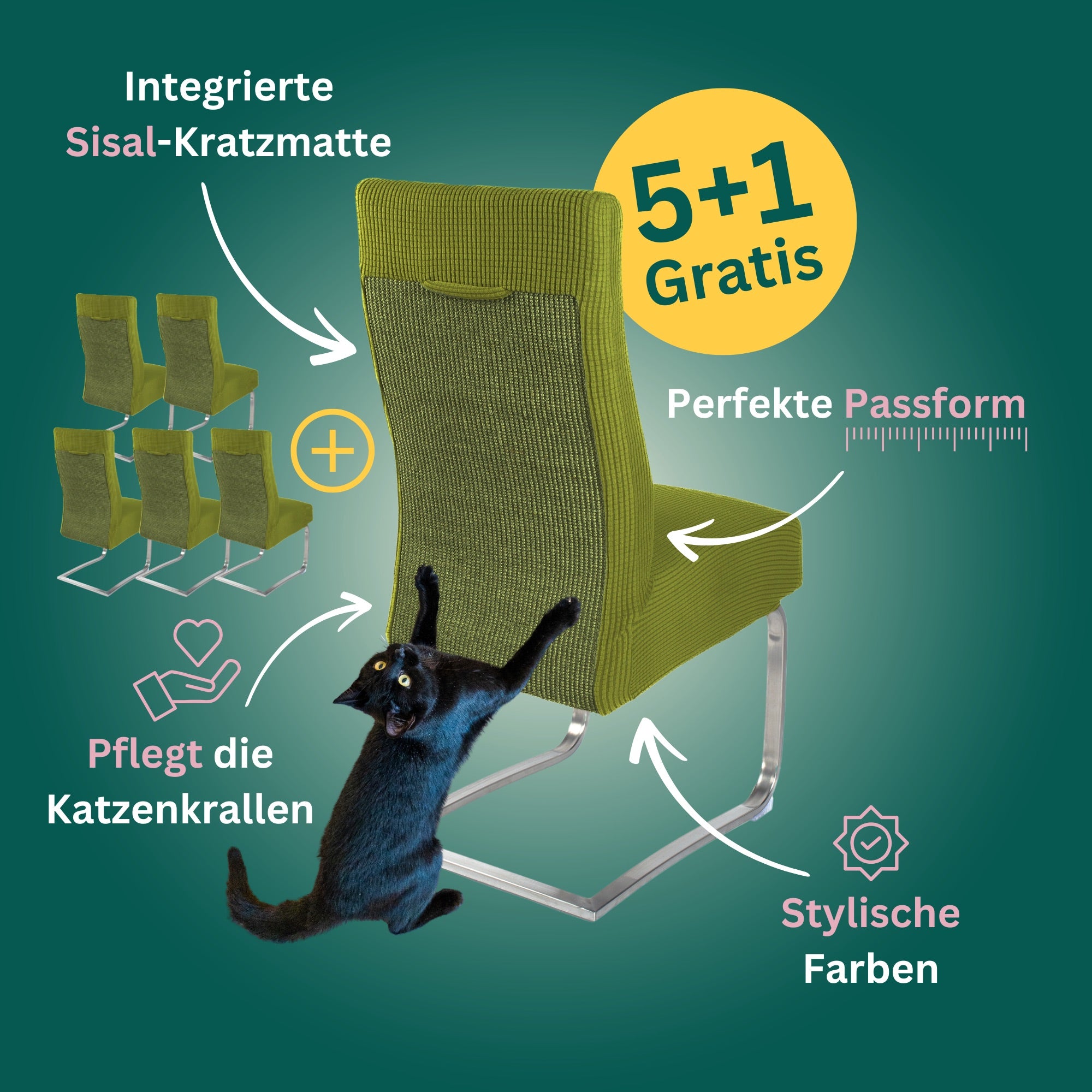 5+1 Gratis: Stuhlhusse mit Sisal Kratzmatte