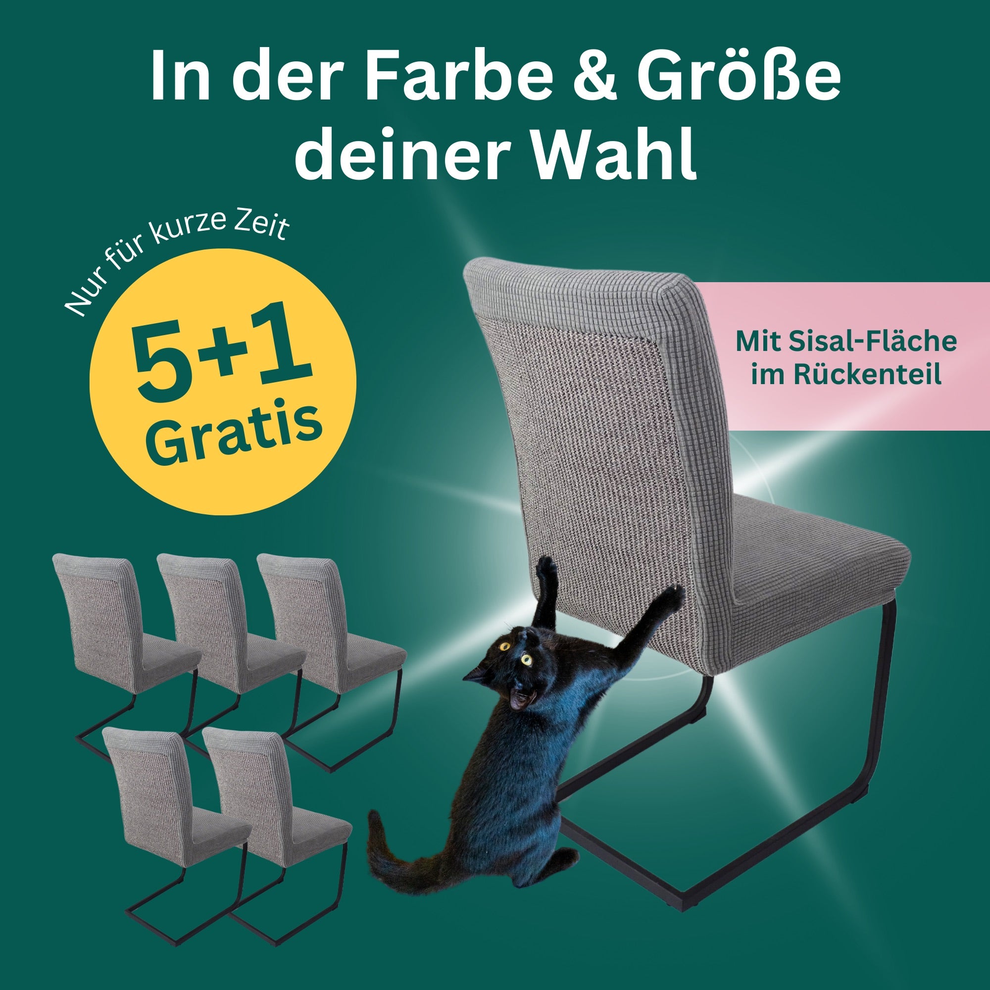 5+1 Gratis: Stuhlhusse mit Sisal Kratzmatte