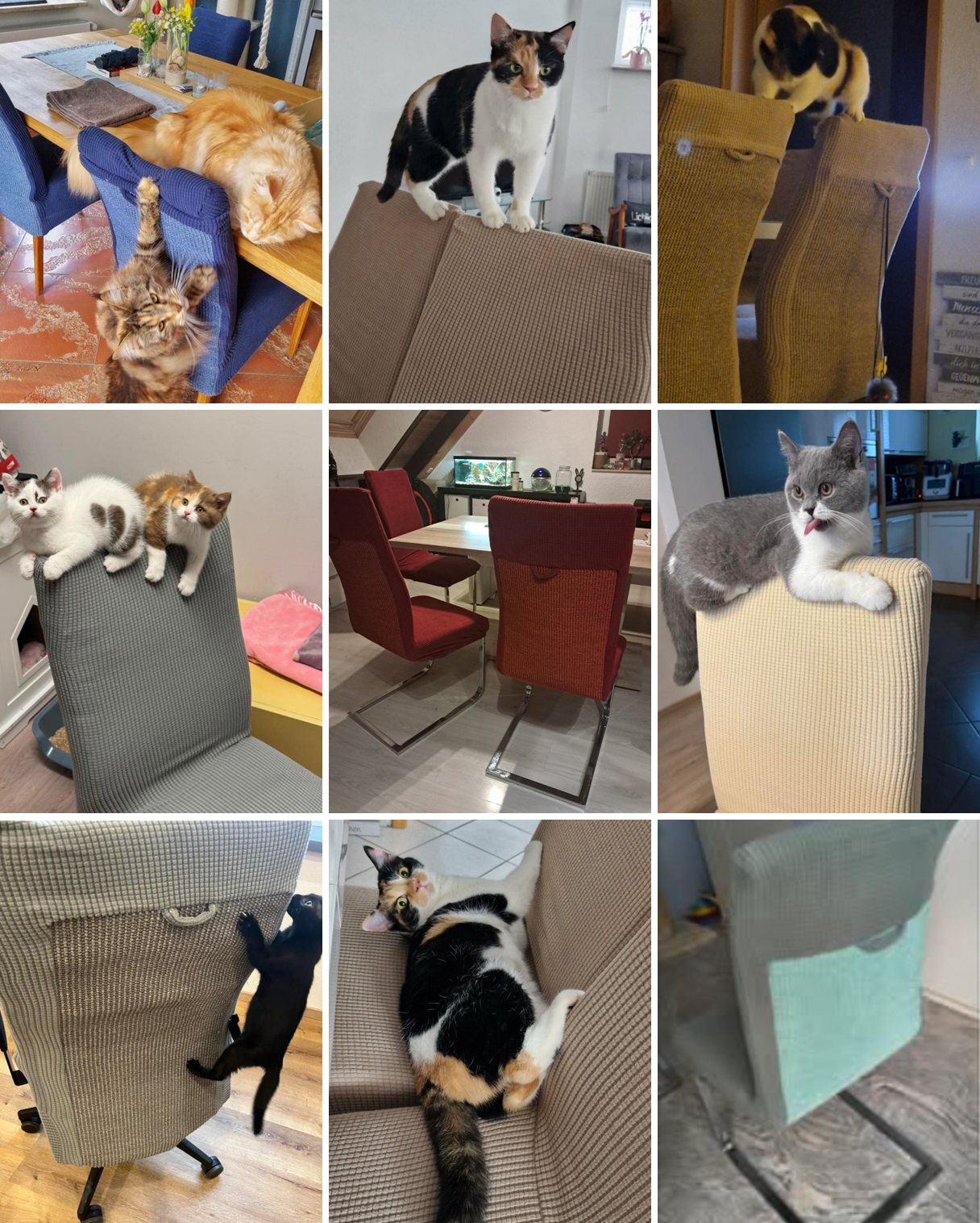Fotos von Kundinnen und Kunden
