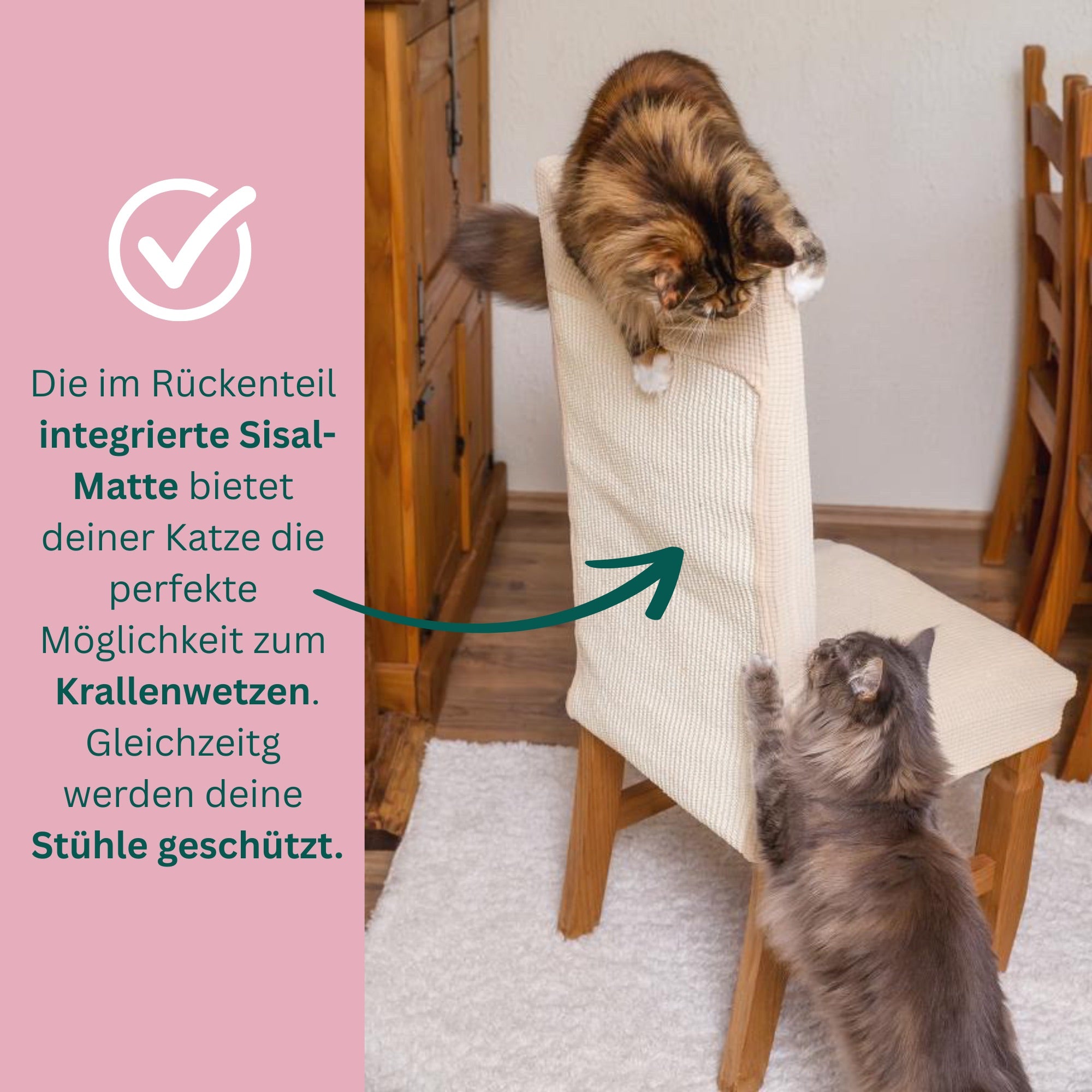 Premium Stuhlhusse mit integrierter Sisal Kratzmatte